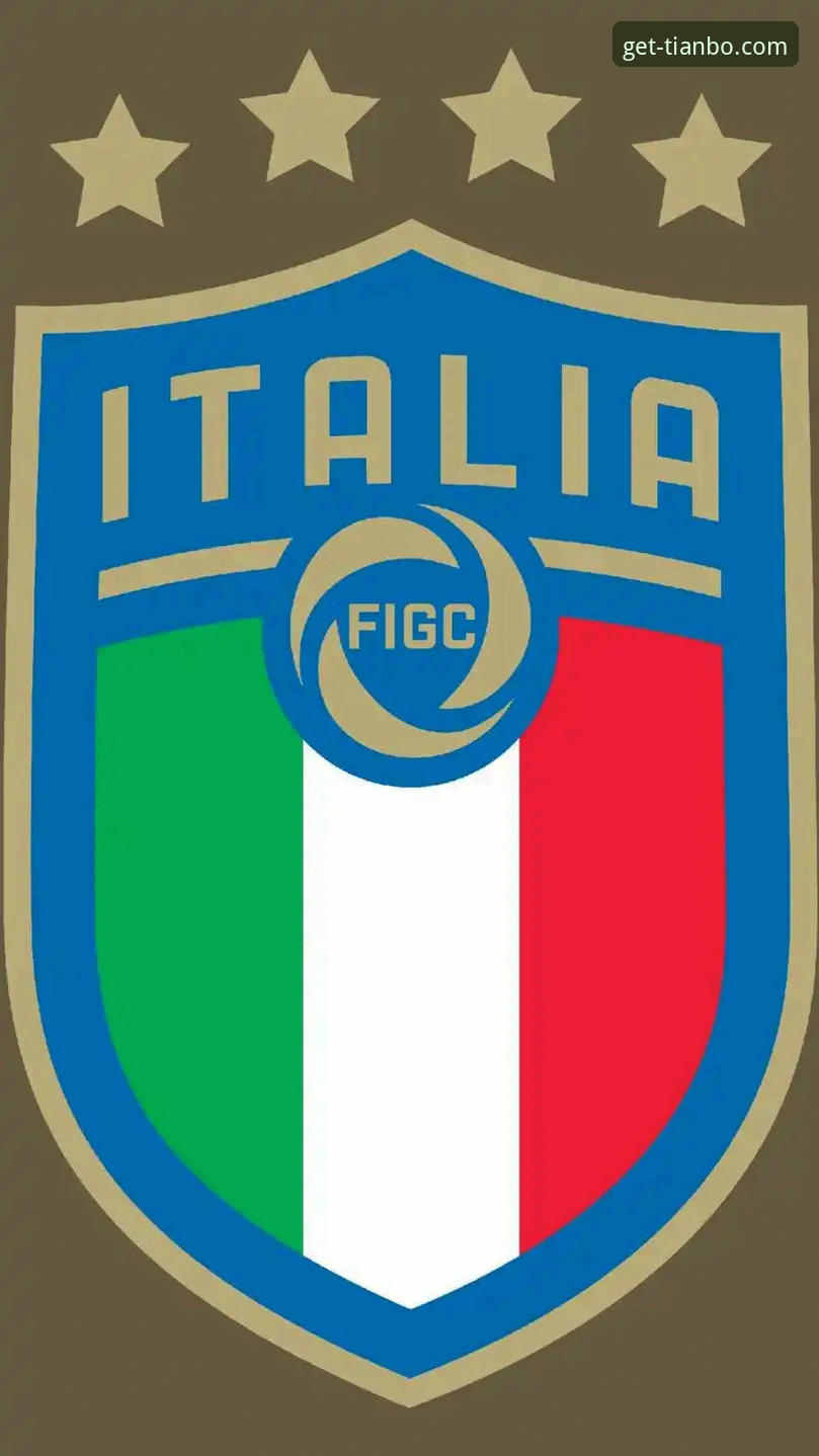 意大利世界杯出局深度解析与观赛体验优化指南